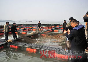 深化南北渔业合作，专家共探智能低碳环保与技术交流新趋势——水产之旅纪实图文报道的现代价值所在｜远望
