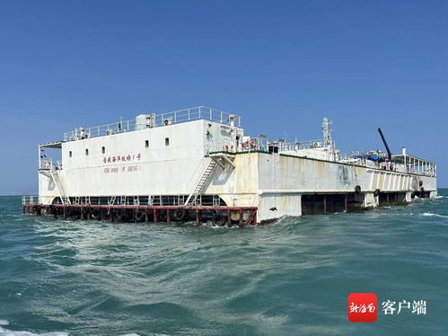 媒体海南行 乐东龙栖湾海洋牧场 智慧渔业为 海上粮仓 建设插上翅膀